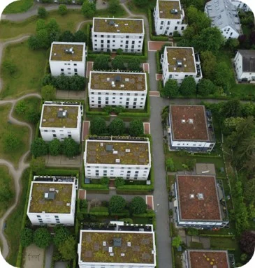 projekt 0256036
